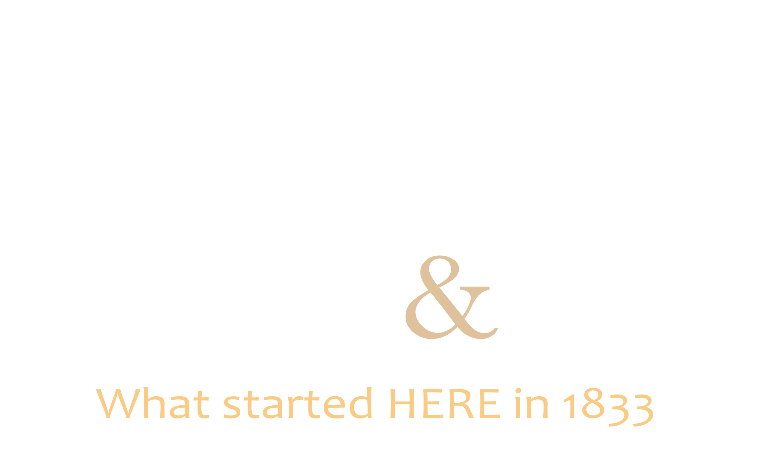 Come and See
